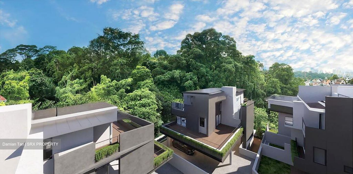 Kheam Hock Road (D11), Semi-Detached #576850091